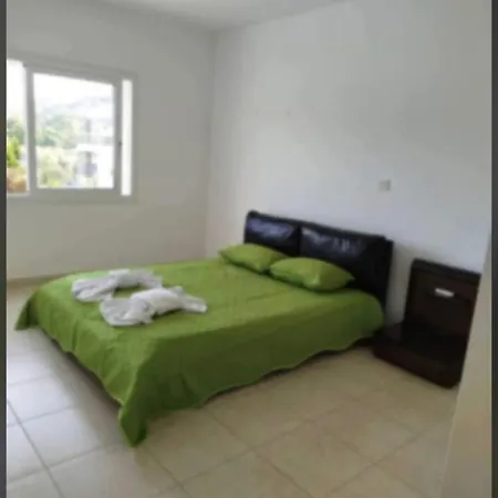 Johny's House *